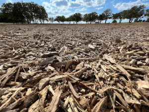 Shuffield Land Clearing & Services-Cameron