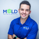 Mold Testing & Mold Removal Services-Dallas