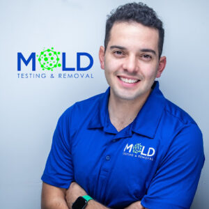 Mold Testing & Mold Removal Services-Dallas