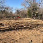 Paradise Land Clearing-Paradise