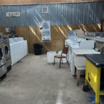 Dirty Duck Laundromat-Shamrock