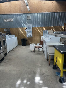 Dirty Duck Laundromat-Shamrock