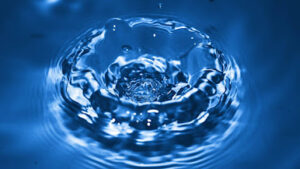 Soft Water Services-Taylor