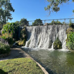 Mill Pond Park