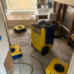 1-800 Water Damage of SE Houston-Webster