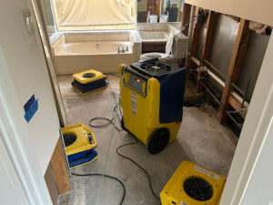 1-800 Water Damage of SE Houston-Webster