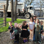 Dillo Disposal Service