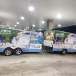 Bulldog Restoration & Cleaning LLC-Houston