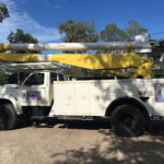 Moreno Tree Service-Sweeny