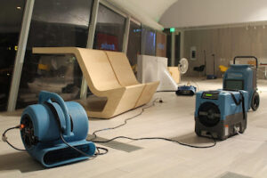 Water Damage Restoration - Taylor-Taylor