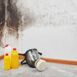 ALL US Mold Removal & Remediation Temple