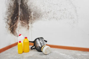 ALL US Mold Removal & Remediation Temple