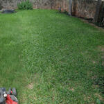 Steward Lawncare-Sweetwater