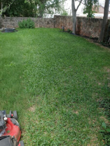 Steward Lawncare-Sweetwater