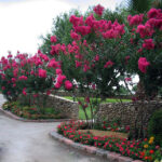 Sanford Irrigation-Uvalde