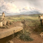 Lake Meredith Aquatic and Wildlife Museum-Fritch