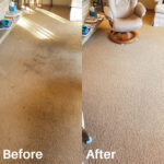 Ease Carpet Cleaning-White Oak