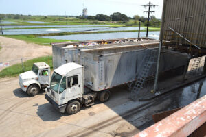 Texas Disposal Systems Weimar-Weimar