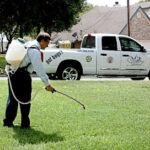 ACI Pest & Lawn Solutions - Kingsland-Kingsland