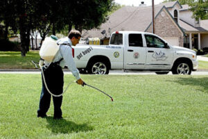 ACI Pest & Lawn Solutions - Kingsland-Kingsland