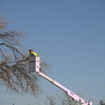 Primary Utility Services-Wolfforth