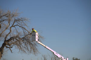 Primary Utility Services-Wolfforth