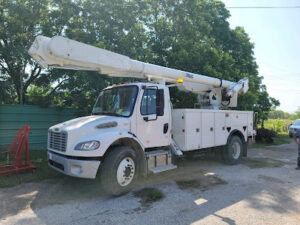 DMH Utility Services-Whitney