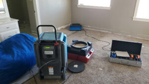 Doigg's Restoration & Cleaning-Rockwall